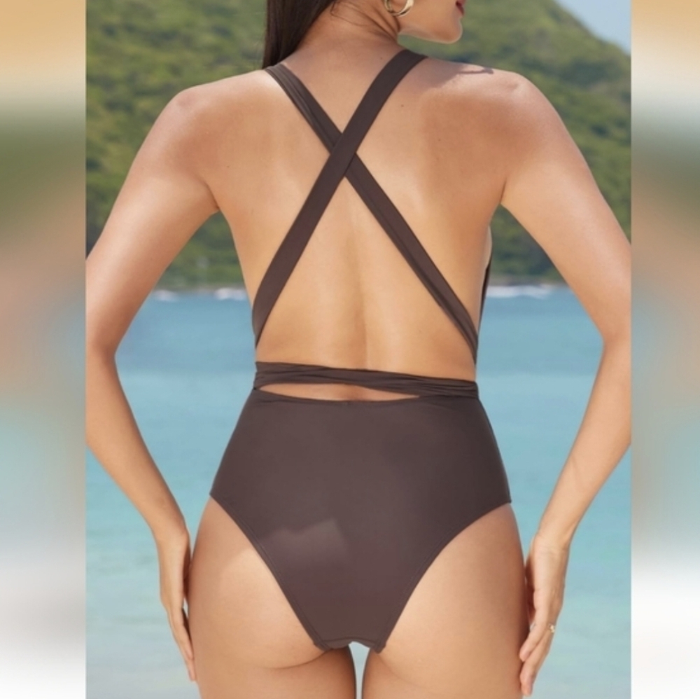 Nwt Classic Deep V One-Piece Swimsuit in Espresso - Picture 2 of 2